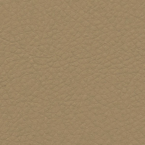 VR-1-White Pepper