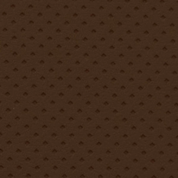 SC-03 Cinnamon
