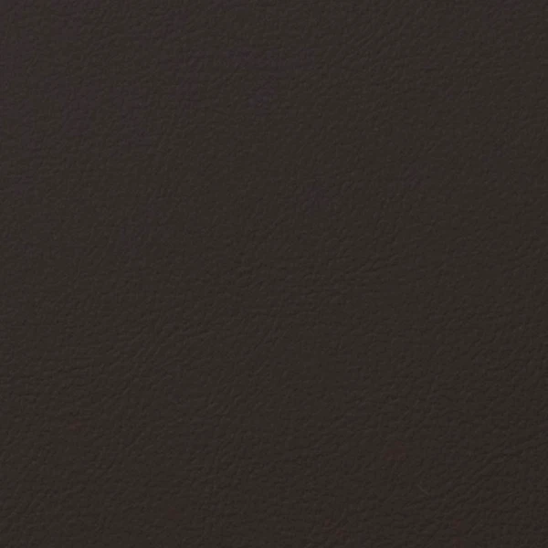 NP306 Puce