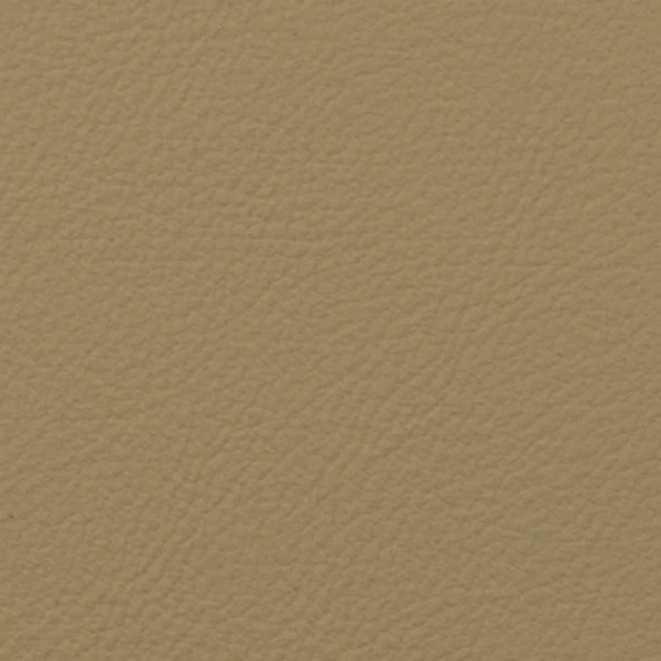 NP402 Pale Khaki