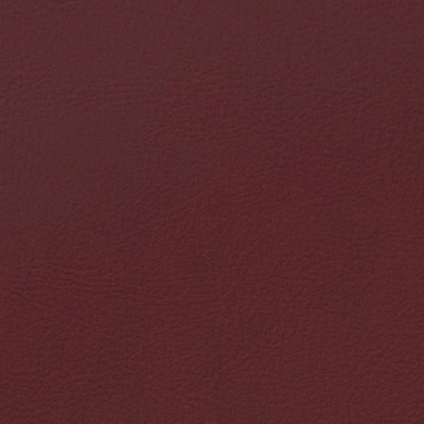 NP361 Red Dahlia
